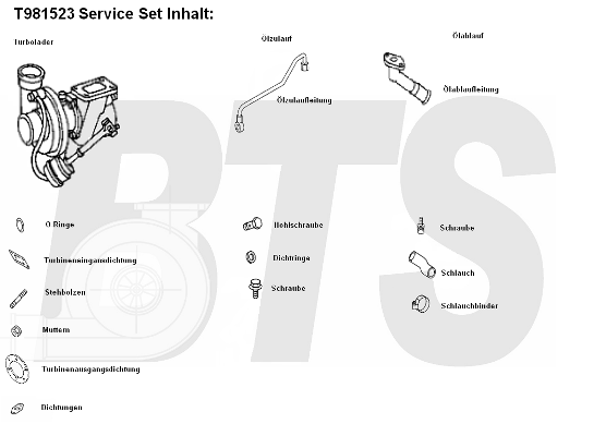 Compresor,sistem de supraalimentare T981523 BTS Turbo